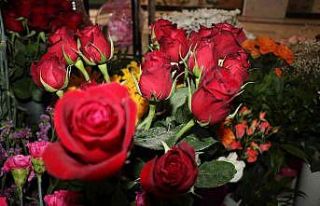 Anneler Günü’nde gülün adeti 25 TL