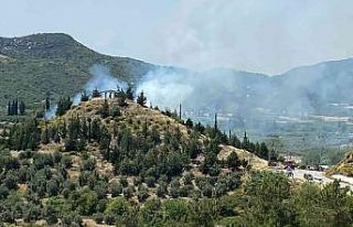 Antalya’da orman yangını büyümeden söndürüldü