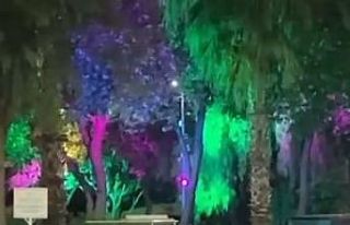 Antalya’da silahlı sopalı kavga, silahla ateş...