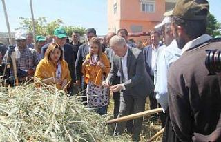 Araban’da festival coşkusu