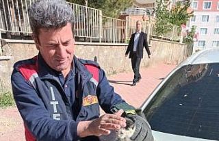 Aracın alt kısmına sıkışan kediyi itfaiye çıkarttı