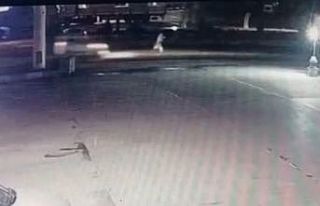 Aracın çarptığı yaya hayatını kaybetti