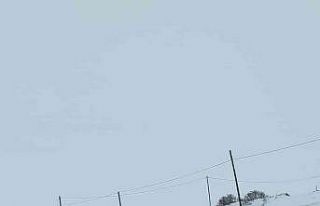 Ardahan’da hayvan otlatırken kaybolan yaşlı kadın...