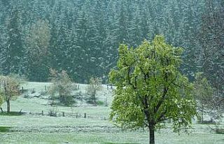 Artvin’in yüksek kesimlerinde kar etkili oldu