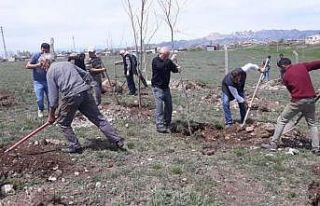 Aşkale’de 3 bin fidan toprakla buluştu