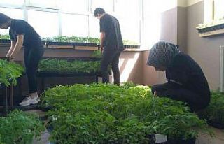 Ata tohumları toprakla buluştu