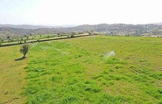 Aydın Büyükşehir Belediyesi, kurak toprakları...