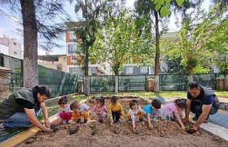 Aydın Büyükşehir Belediyesi’nin Ata Tohumları...