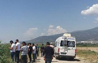 Aydın’da kaybolan kadını arama çalışmaları...