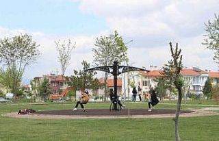 Aynı salıncaktan düşen 1 genç öldü, 1 genç...