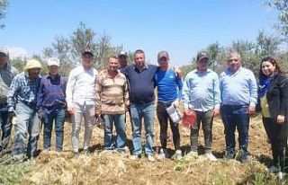 Ayvalık Ziraat Odası Başkanı Baysal, “Çiftçiler...