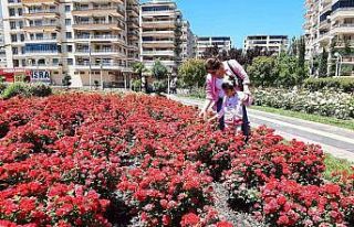 Bağlar Belediyesi Gül Parkı, değişik aktivite...