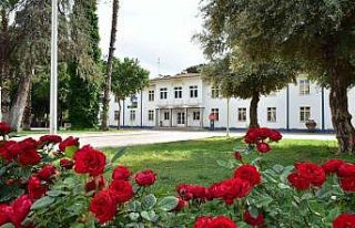 Baharın renkleri Dokumapark’ta