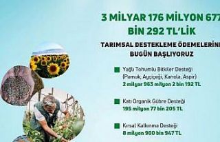 Bakan Kirişci, 6 farklı kalemde 3 milyar 176 milyon...