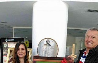 ‘Bakraçlı kadın’ keçe sanatı tablosu hediye...