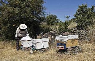 Bal üreticisi dağıtılan kovanlardan memnun