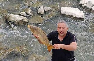 Balık ölümleri korkutuyor
