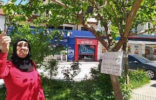 Balıklı Caddesi esnaflarından "Olgunlaşmadan...