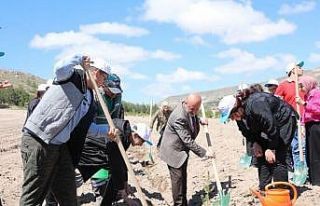 Başkan Çolakbayrakdar: “Dikilen her bir ağaç,...