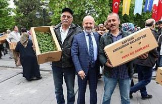 Başkan Çolakbayrakdar’dan organik domates fidesi...