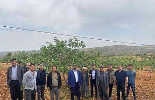 Başkan Sümer: “Bakanlığa afet ihbarında bulunacağız”