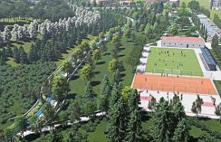 Başkent yeşile doyacak