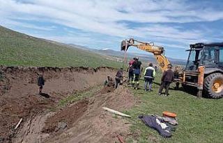Bataklığa saplanan büyükbaş hayvan kurtarıldı