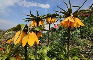 Bayramda Van’ın ören yerlerine ziyaretçi akını
