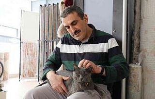 Beslemek için aldığı kedi can dostu oldu