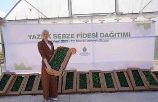 Bilecik’te çiftçilere 100 bin domates, biber,...