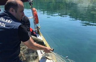 Bin metre misina ağa el konuldu