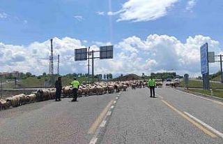 Bingöl polisi, karayolda ilerleyen göçerlerin güvenliğini...