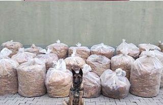 Bingöl’de 850 kilo yaprak tütünü ele geçirildi