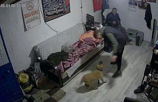 Bir anda havlayan köpekten aklı çıktı
