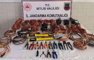 Bitlis’te 8 hırsızlık şüphelisi yakalandı