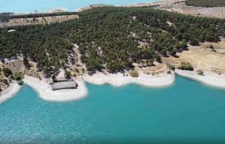 Bozova’ya bungalov evler