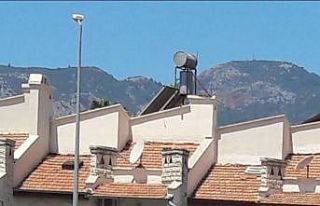 Bozyazı’da sokak köpekleri tehlike saçıyor