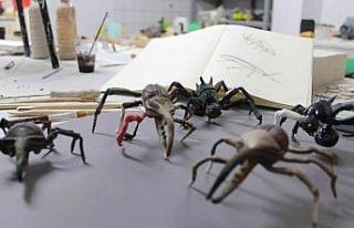 Bu böcekleri görenler önce korkuyor sonra seviyor