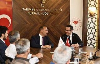 Bursa tarımında aslan payı Mustafakemalpaşalı...