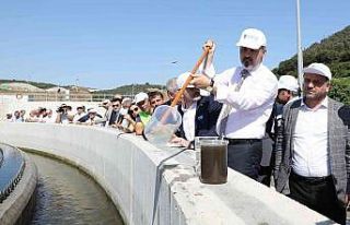 Bursa’da deniz suyu kalitesi artıyor