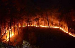 Bursa’da ormanlık alanlarda mangal yakmak yasaklandı
