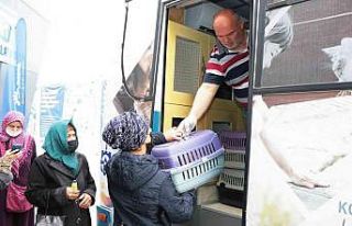 Büyükşehirden sokak hayvanlarına mobil kısırlaştırma