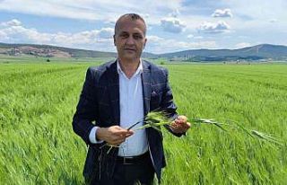 Çetinkaya: "1 metrakare arazimiz bile boş kalmamalı"