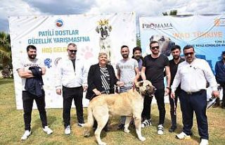 Ceyhan’da "Patili Dostlar Güzellik Yarışması"