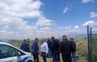 Çiftçi ve zabıta dolu topu avına çıktı