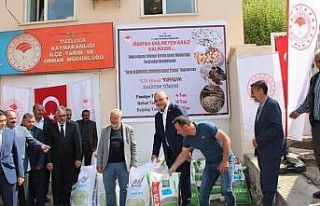Çiftçilere tohum dağıtımı gerçekleştirildi