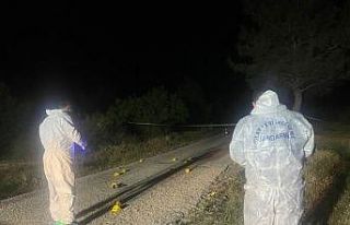 Çifte cinayetin şüphelisi yakalandı