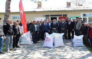 Çıldır ilçesinde Çiftçilere tohum desteği