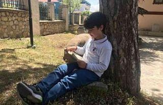 Çocuklar müze bahçesinde kitap okumak için bir...