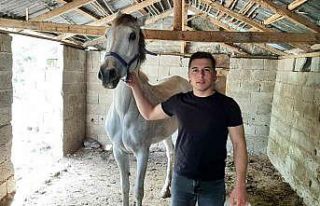 Çocukluk hayali olan yarış atını aldı ona şiirler...